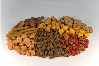 Photo of a variety of foods fed to ferrets.