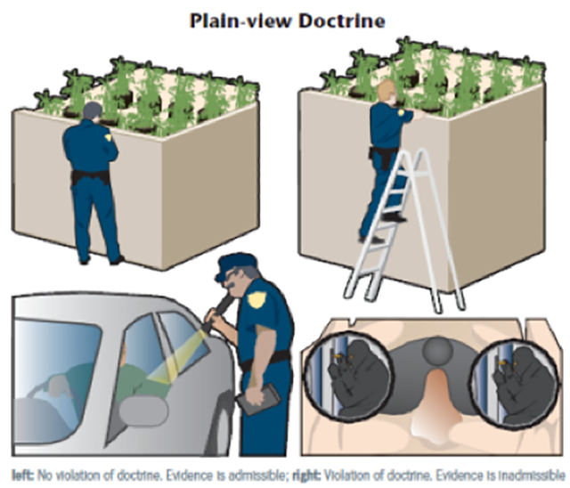 Image from a textbook that resulted in the following text description being written by one of our staff.