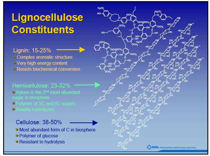 lignocellulose constituents