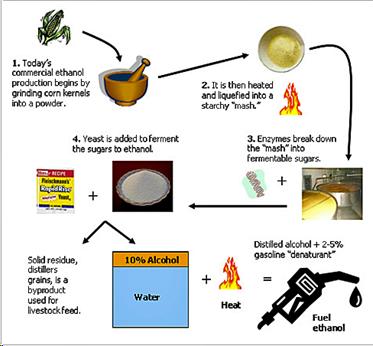 Corn to ethanol.jpg