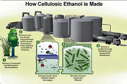 Cellulosic ethanol production.jpg