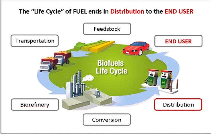 USDOE Biofuels life cycle.jpg