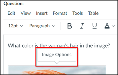 image options link in the rich content editor