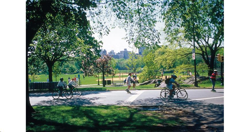People riding bikes and rollerblading in a park