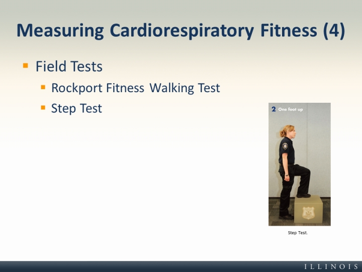 metrisk fintælling bomuld Measuring Cardiorespiratory Fitness (4)