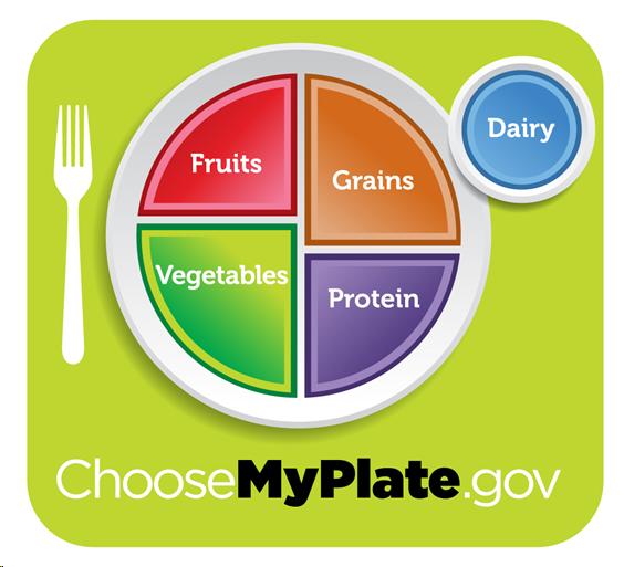 Choose My Plate icon showing a plate divided into four sections - fruits, grains, vegetables, and protein. One dairy serving shown on side of plate.