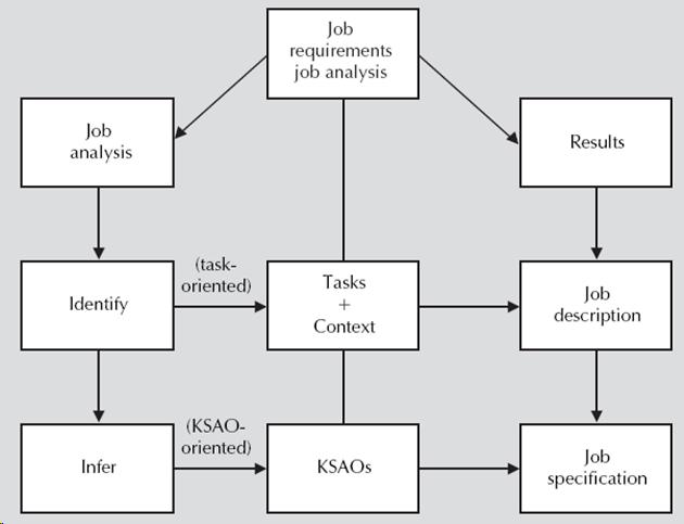 Job Requirements Job Analysis