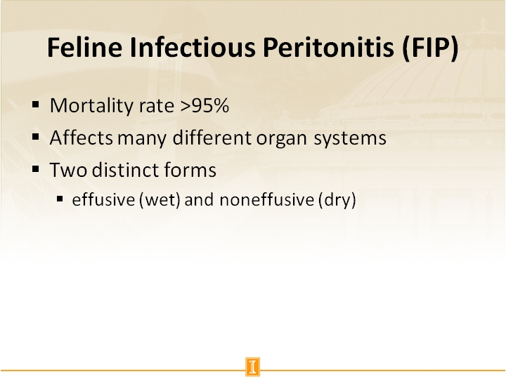 feline infectious peritonitis vaccine