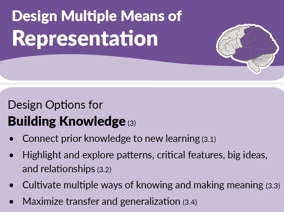Clipped portion of the UDL 3.0 Graphic Organizer highlighting Design Multiple Means of Representation column and the box for Design Options for Building Knowledge.