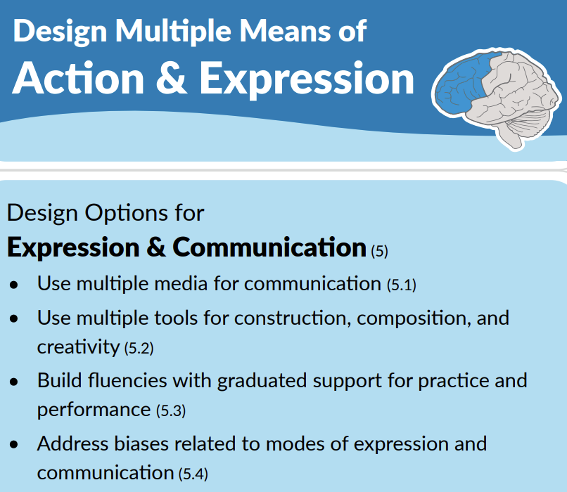 Clipped portion of the UDL 3.0 Graphic Organizer highlighting Design Options for Expression and Communication