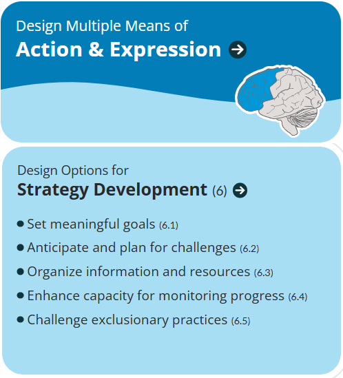Clipped portion of the UDL 3.0 Graphic Organizer highlighting Design Options for Strategy Development