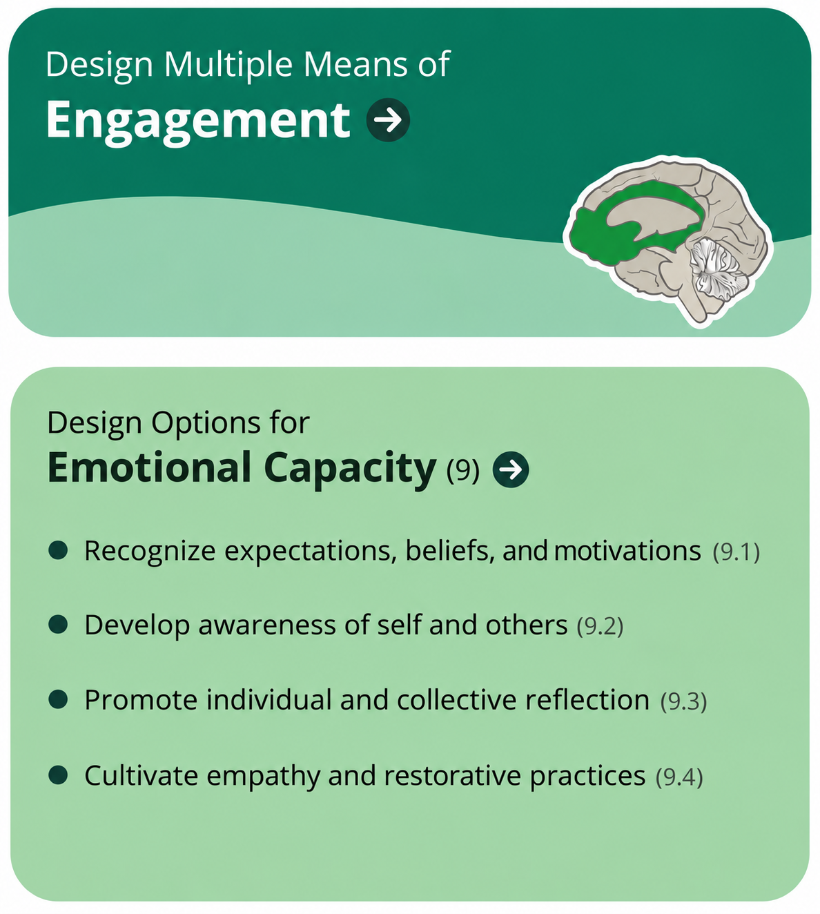 Clipped portion of the UDL 3.0 Graphic Organizer highlighting Design Multiple Means of Engagement column and the box for Design Options for Emotional Capacity.