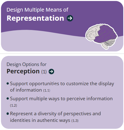 Clipped portion of the UDL 3.0 Graphic Organizer highlighting Design Multiple Means of Representation column and the box for Design Options for Perception.